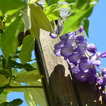 Casa vacanze Maisonnette En Provence Climatisee, Wifi, Parking